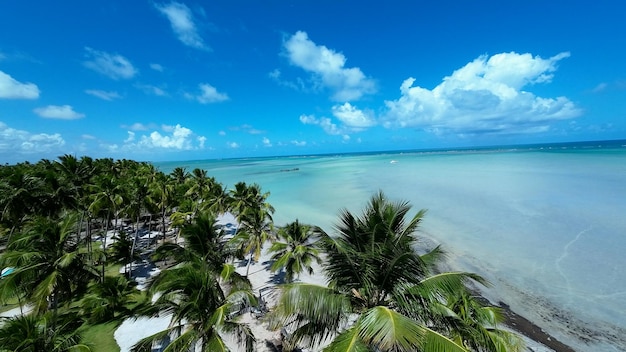 Foto escena de praia em maragogi, em alagoas, brasil