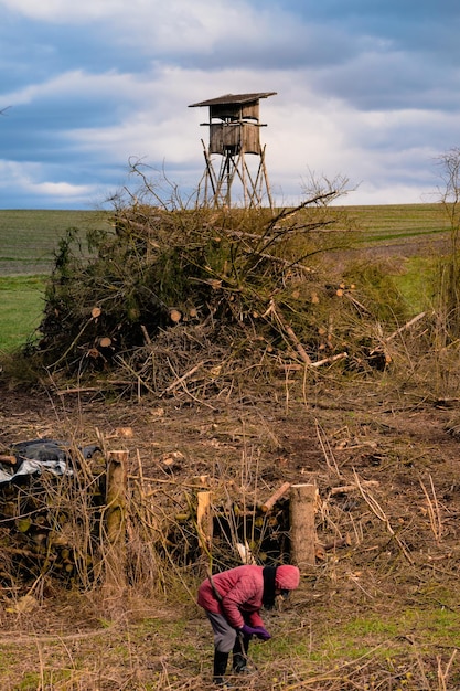 Escena de deforestación con una torre de caza de madera en el paisaje rural