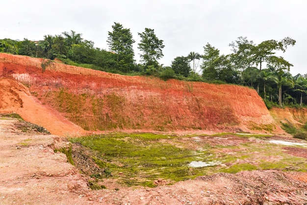 La escena después del deslizamiento de tierra después de la lluvia en la naturaleza después del deslizamiento de tierra