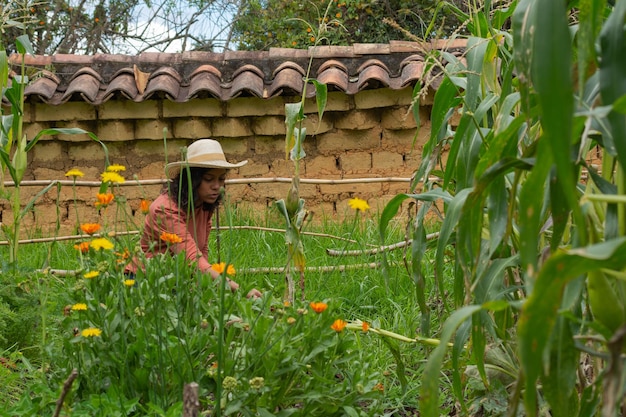 Escena de huerto con una joven latina con sombrero examinando sus verduras