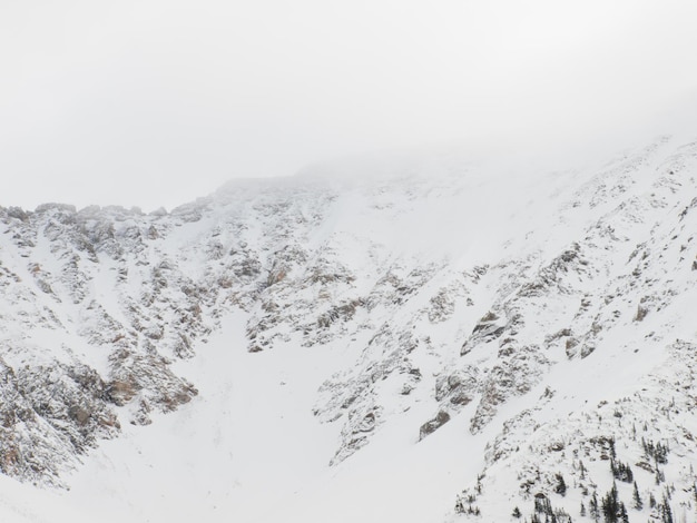 Escena de invierno cubierto de nieve en lo alto de la montaña. Montañas Rocosas de Colorado, Estados Unidos.