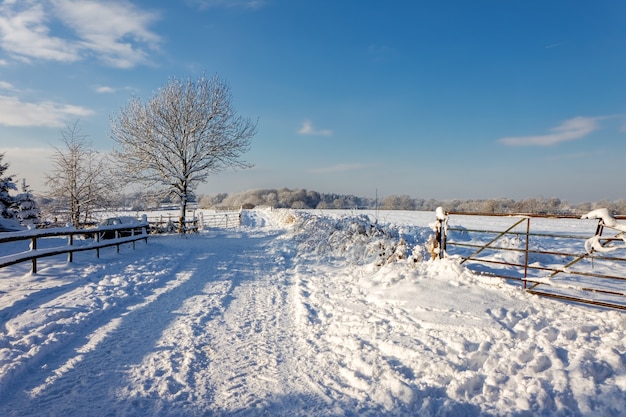 Escena de invierno en East Grinstead