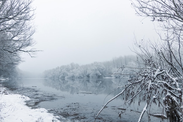 Escena del lago de invierno que refleja