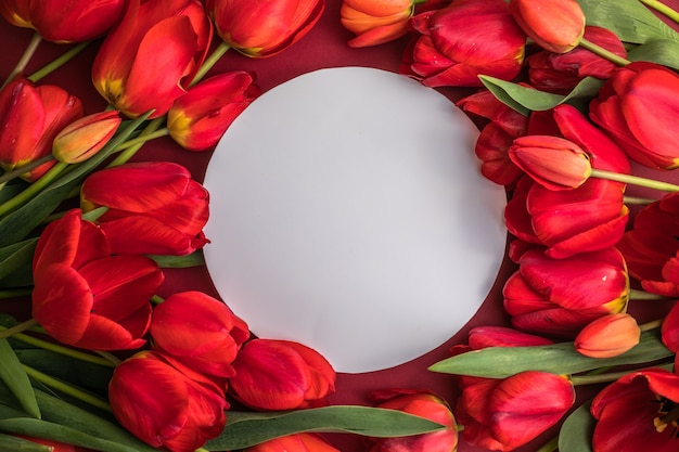 Escena de maqueta de tarjeta de felicitación en blanco redondo y tulipanes rojos sobre superficie roja