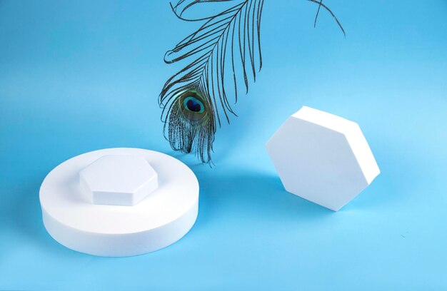 Escena minimalista abstracta con formas geométricas y una pluma de pavo real para demostrar cosméticos en