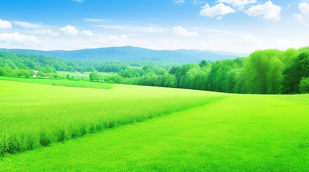 Escena de la naturaleza con campo verde