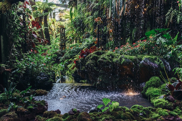 Escena de la naturaleza con flores florecientes, flores de primavera, hermoso huerto