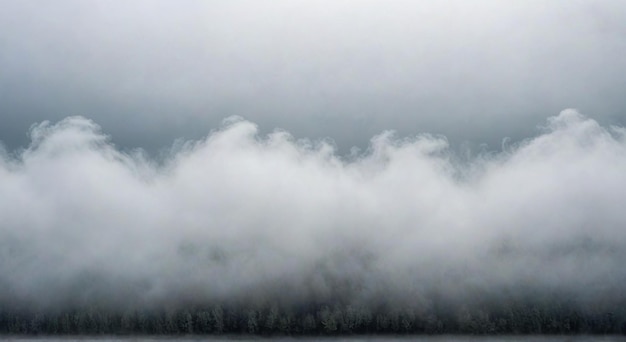 Foto una escena de niebla con árboles y nubes en el fondo