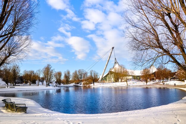 Escena de nieve de lago de parque de invierno