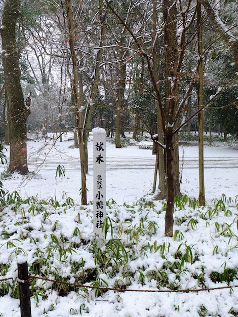 Escena de nieve en el Santuario Shimogamo en Kioto