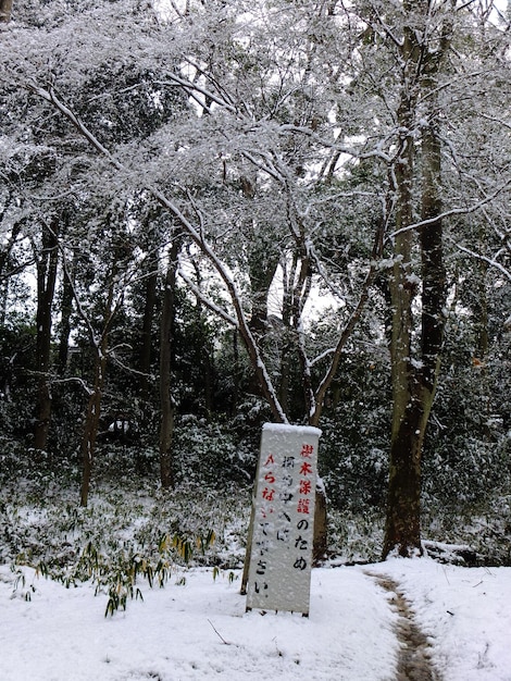 Escena de nieve en el Santuario Shimogamo en Kioto