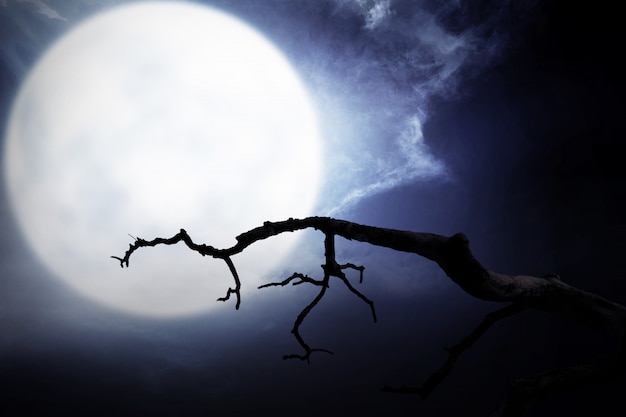 Escena nocturna aterradora con rama, luna llena y nubes oscuras.