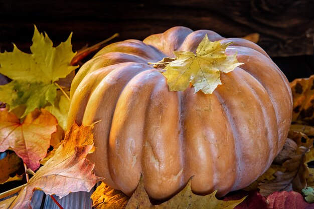 Escena de otoño Calabaza y follaje