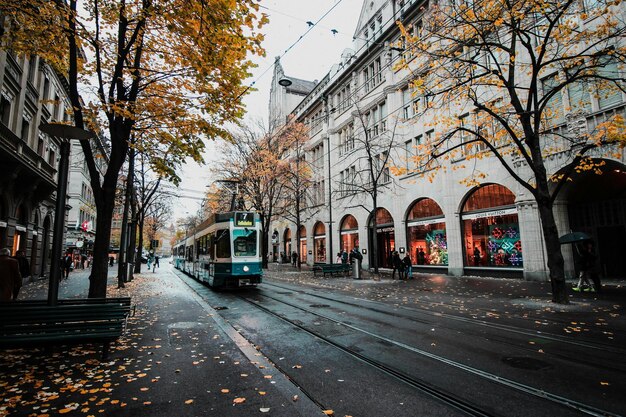 Escena de otoño lluviosa en la histórica calle comercial con el tranvía