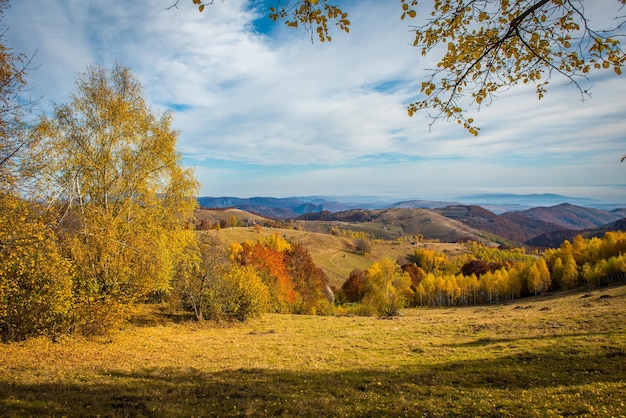 Escena de otoño en las montañas