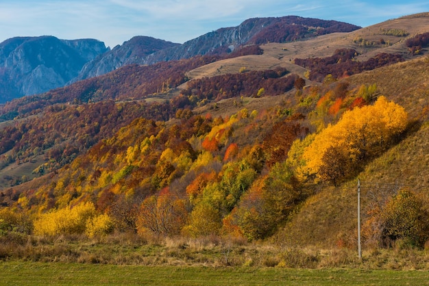 Escena de otoño en las montañas