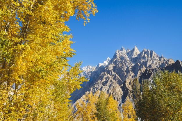 Escena de otoño en Passu. Gilgit-Baltistán, Pakistán.