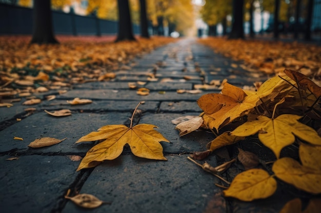 Escena de plantas de hojas de la temporada de otoño