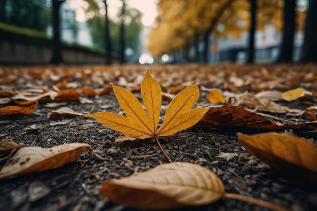 Escena de plantas de hojas de la temporada de otoño