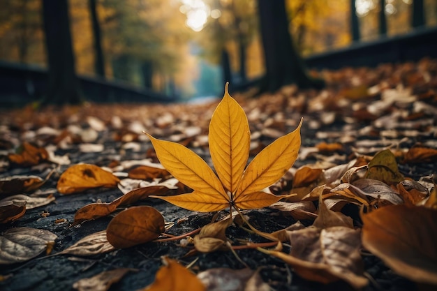 Escena de plantas de hojas de la temporada de otoño