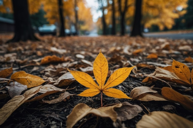 Escena de plantas de hojas de la temporada de otoño