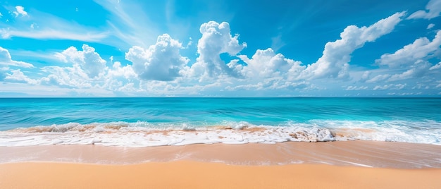 una escena de playa con el océano y el cielo en el espacio de copia de fondo