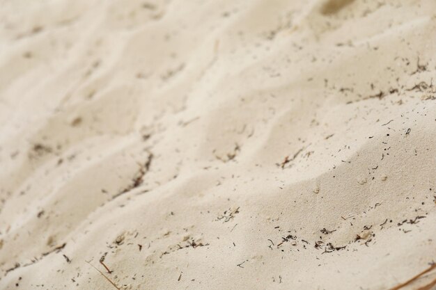 escena de playa serena con arena dorada sandalias de playa coloridas agua con gas y un día brillante s