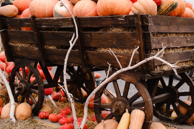 Escena rural con una carretilla llena de calabazas y calabazas Decoración de calabaza