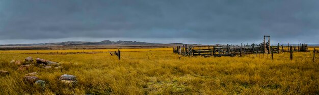 Escena rural en verano