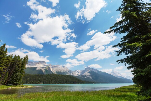 Escena serena junto al lago en Canadá