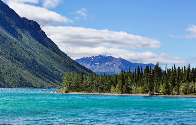 Escena serena junto al lago en Canadá
