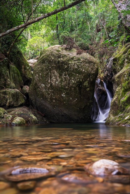Escena serena de la selva con arroyo y enorme roca redondeada
