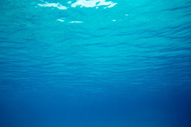 Escena submarina tranquila con espacio para copiar