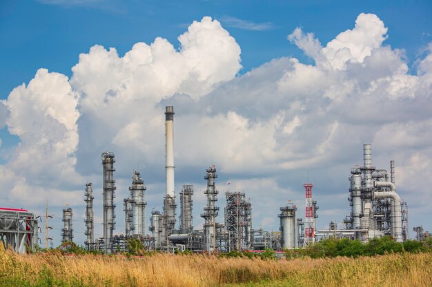 Escena de la tarde de la torre de la planta de refinería de petróleo del tanque y el tanque de columna de aceite de la industria petroquímica cielo azul y césped