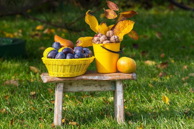 Escena de la temporada de otoño con cultivo de frutas y nueces en el jardín. Belleza del otoño.