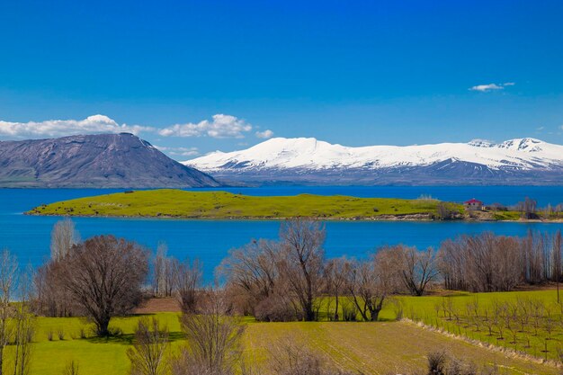 Escena tranquila montañas nevadas lago y prado verde