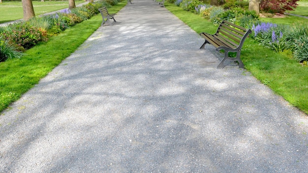 Escena tranquila en un parque público con bancos que cruzan un callejón y un lecho de flores en el borde con césped