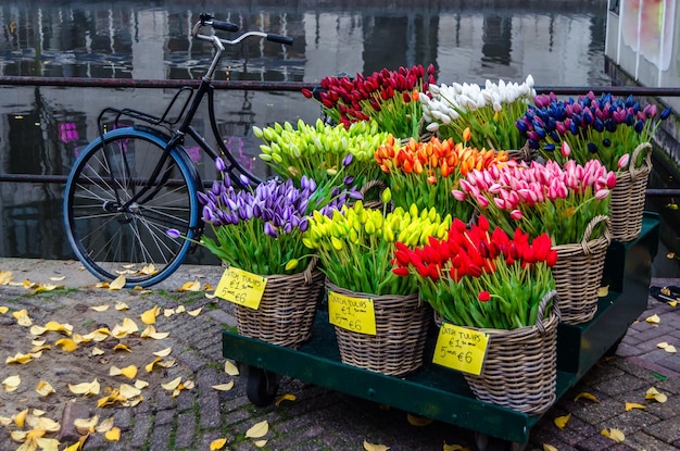 Escena urbana en Amsterdam Holanda con hermosos tulipanes multicolores a la venta en el canalside