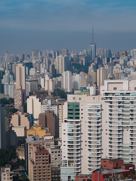 Escena urbana Sao Paulo Brasil Paisaje urbano Skyline Vertical.
