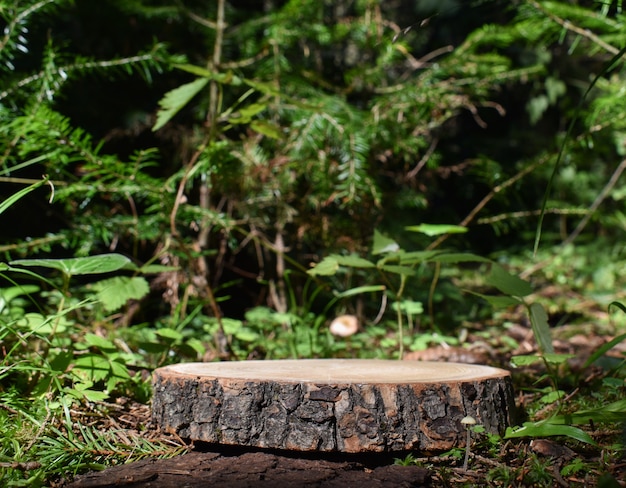 Un escenario de madera minimalista con el telón de fondo de un bosque. Un podio para la presentación de productos y cosméticos. Copie el espacio.