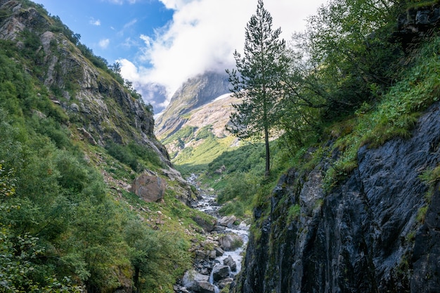 Escenas de las montañas de la opinión del primer en el parque nacional Dombai, Cáucaso, Rusia, Europa. Paisaje de verano, clima soleado, espectacular cielo azul y día soleado