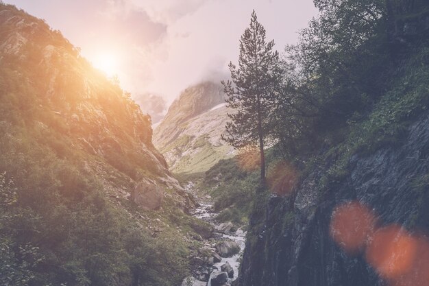 Escenas de las montañas de la opinión del primer en el parque nacional Dombai, Cáucaso, Rusia, Europa. Paisaje de verano, clima soleado, espectacular cielo azul y día soleado