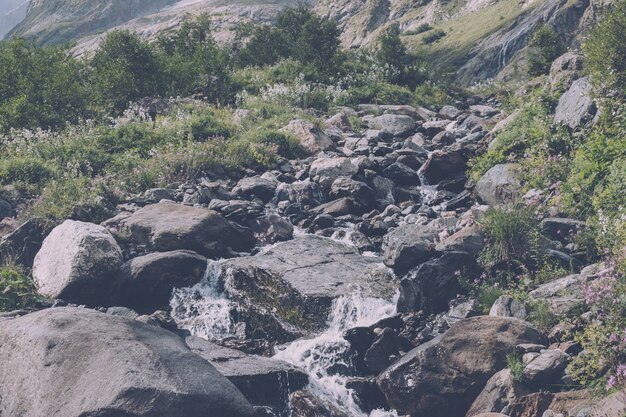 Escenas de río de vista de cerca en las montañas del parque nacional Dombai, Cáucaso, Rusia, Europa. Paisaje de verano, clima soleado, espectacular cielo azul y día soleado