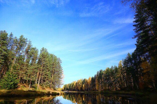 escénico, paisaje otoñal, árboles y bosque, río y lago, vista de la naturaleza, fondo de otoño