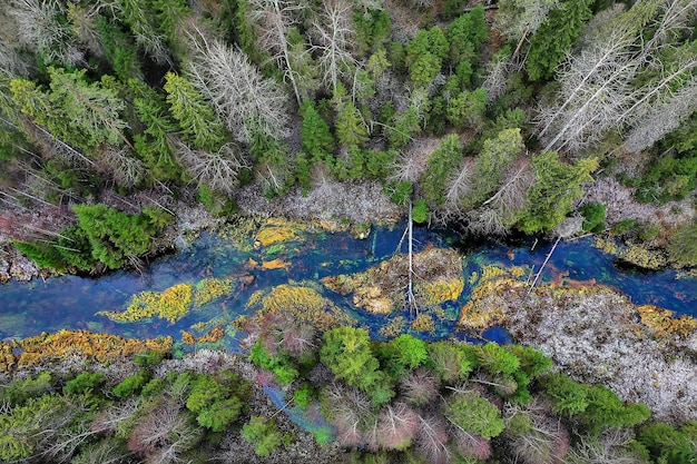 escénico, paisaje otoñal, árboles y bosque, río y lago, vista de la naturaleza, fondo de otoño