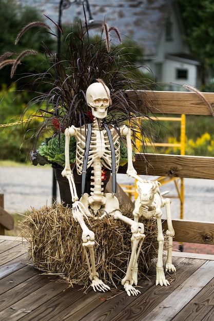 Foto escenografía para halloween en octubre decoración en el patio el dueño de la casa esqueletos
