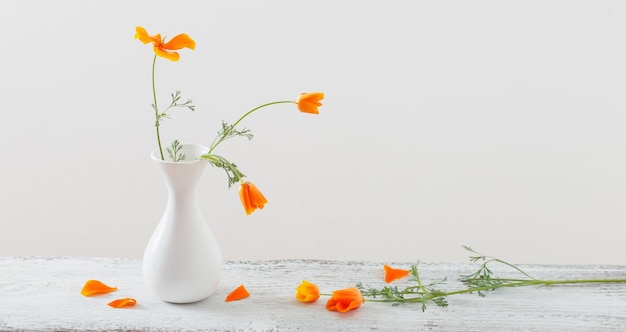 Eschscholzia naranja en jarrón blanco