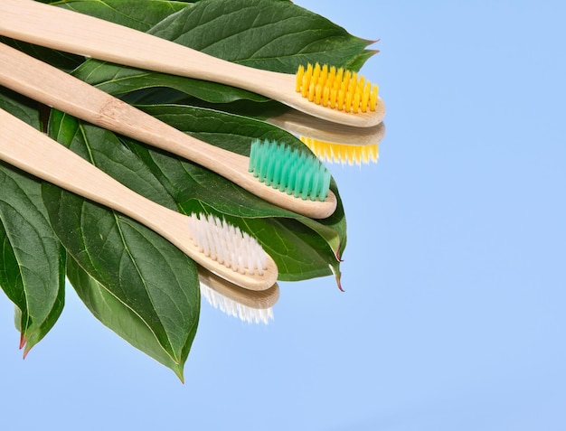 Foto escobillas de dientes ecológicas en hojas verdes copiar espacio para el texto