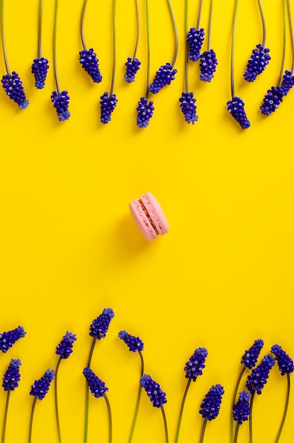 Escoja los macarrones rosados y las flores azules del muscari en fondo amarillo. Tiro de arriba. Lay Flat. Composición de marco vertical