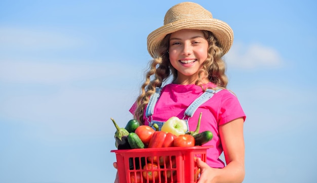 Escolhas alimentares alimentos saudáveis para crianças menina vegetal na cesta Apenas criança natural na fazenda de verão Alimentos orgânicos feliz pequeno agricultor colheita de outono colheita vitamina primavera jardim de mercado